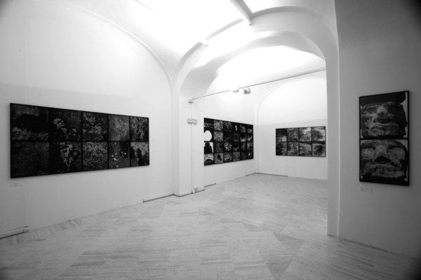Martin d’Orgeval - Galerie Hussenot