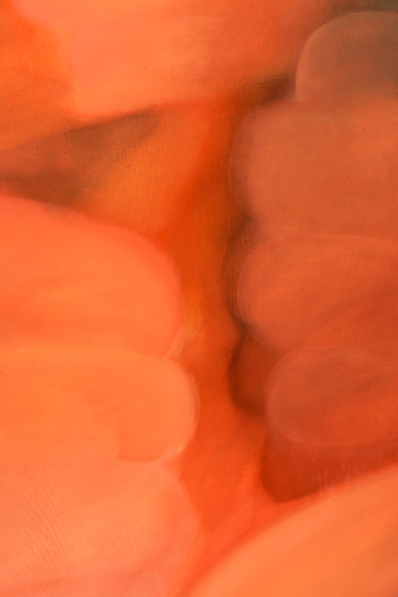 Bryter Layter - Galerie Hussenot