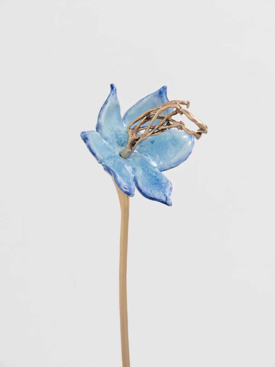 - Galerie Hussenot