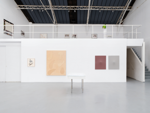 The Family Guns - Galerie Hussenot