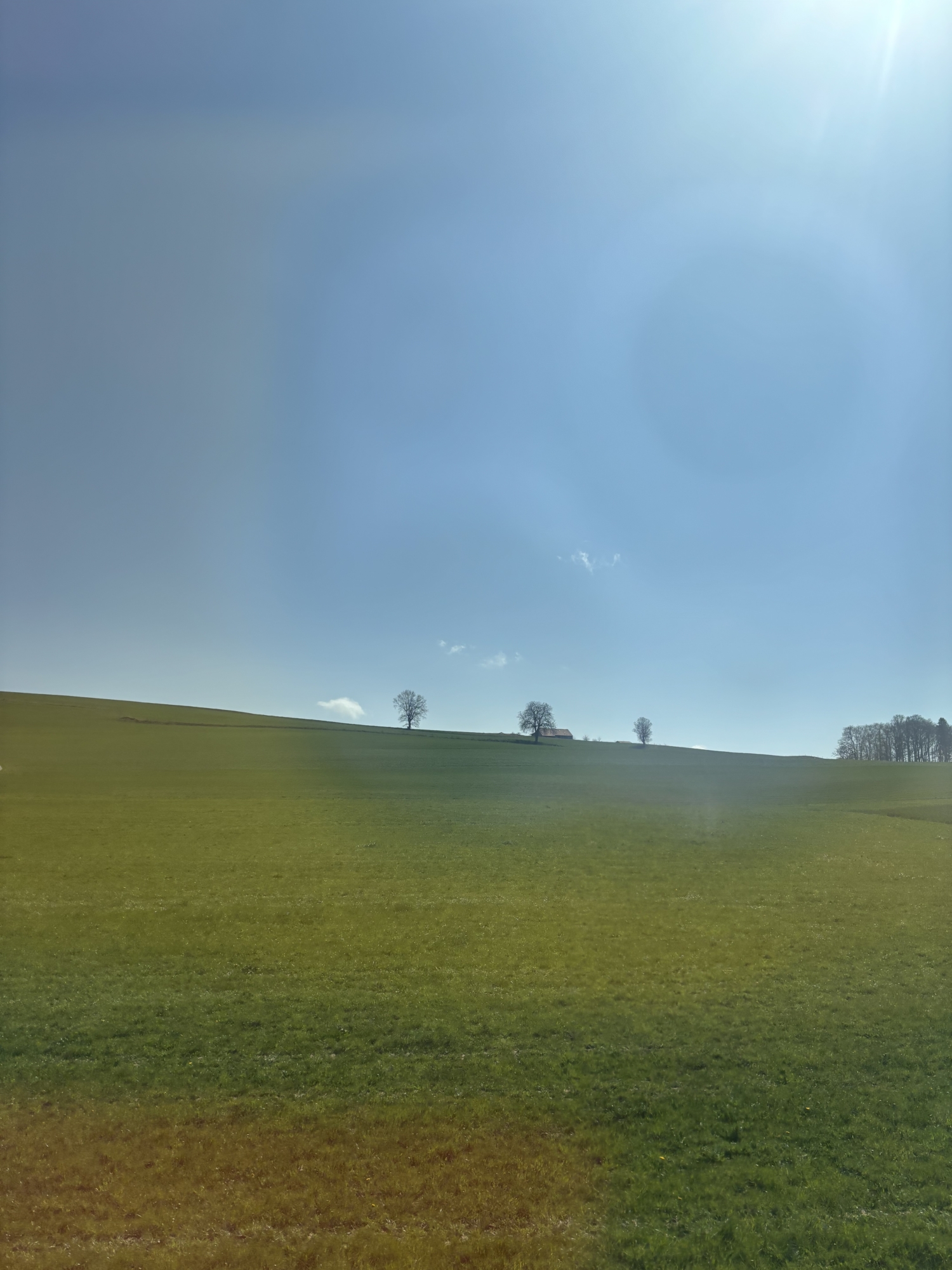 Page d’accueil - Galerie Hussenot